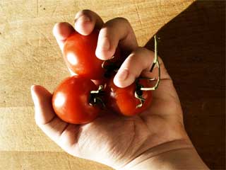 hand-tomato-733857.jpg